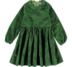 Cybilla Dresses